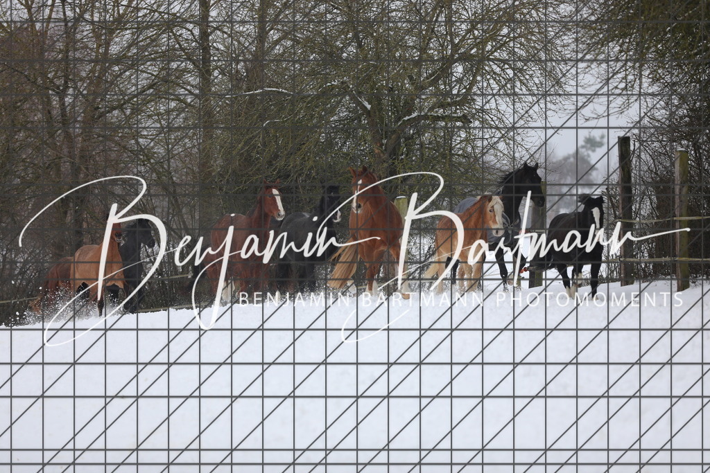 AZ2A3322 | Benjamin Bartmann Photomoments