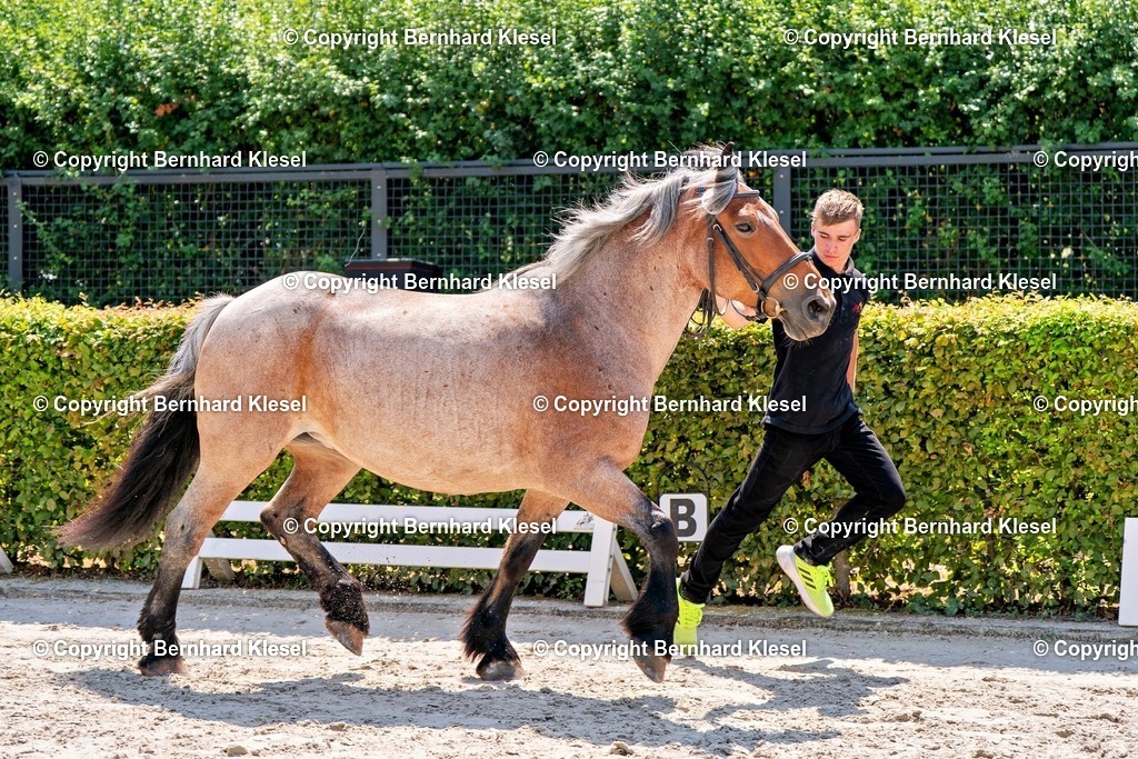 2A900639 | foto-team-bernhard - Realisiert mit Pictrs.com