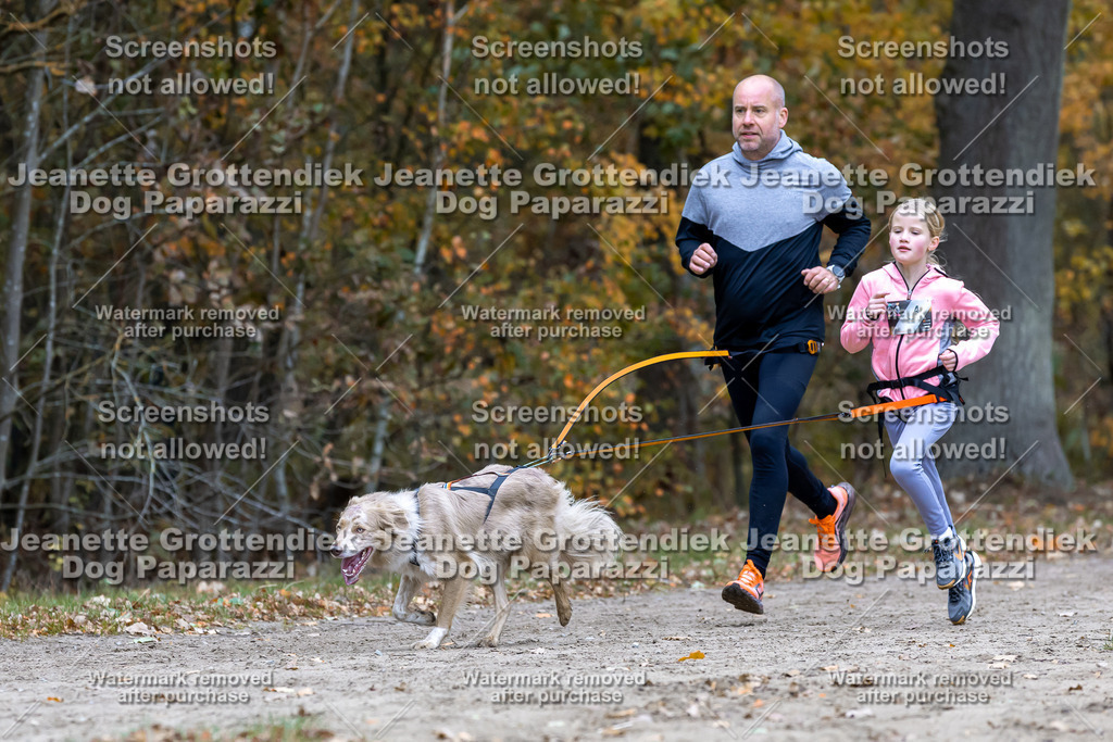 Dog Paparazzi - SD CaniX Championship 2025-611 | Dog Paparazzi Jeanette Grottendiek Fotografie & Videografie - Realisiert mit Pictrs.com