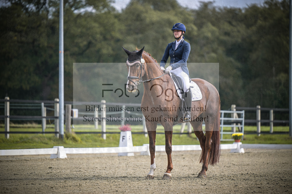 DOS_B629 | Entdecke hochwertige Reitturnierfotos von Foto Oger. Professionell, emotional und authentisch – jetzt Lieblingsmomente im Shop bestellen.Deutschlandweite Turnierfotografie. - Realisiert mit Pictrs.com