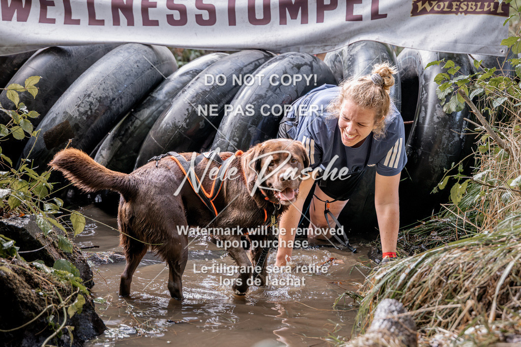nelerasche_Hunsrück2026_Sa1400-1500_349 | nelerasche