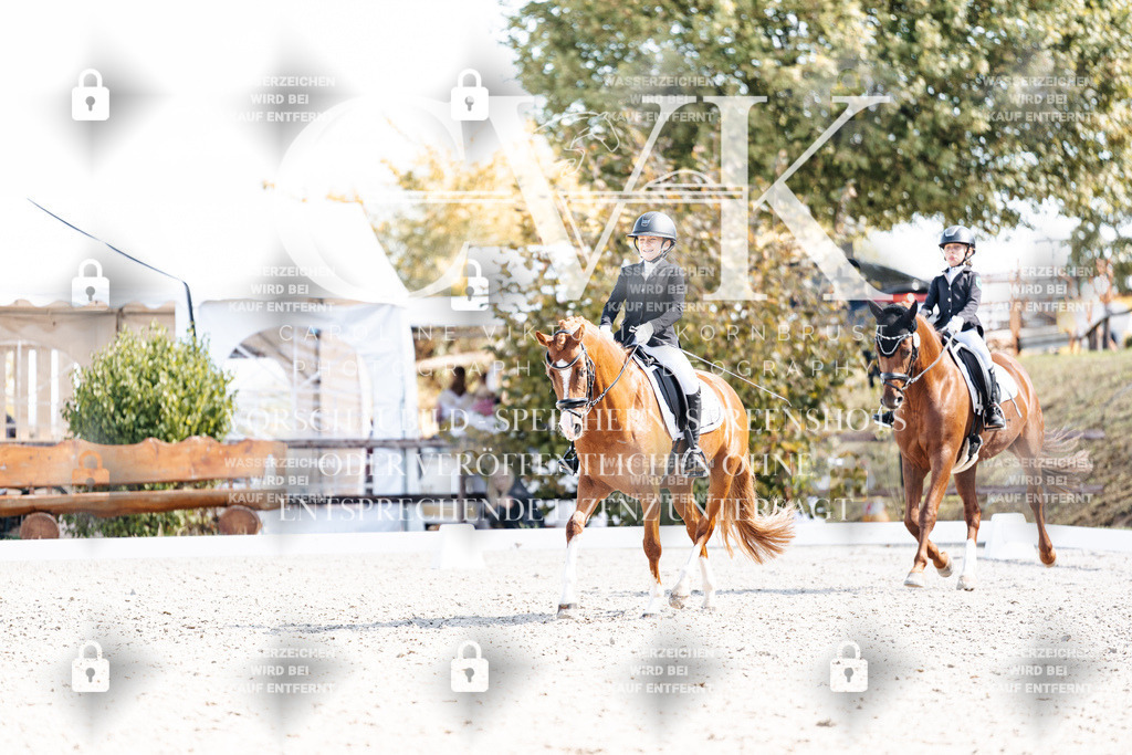 CK903033 | Turnierfotografie Pferdefotografie Trier Rheinland-Pfalz Pferdesport Reitsport Tierfotografie Sportfotografie Pferdevideo Pferdevideografie Equestrianvideography equestrianphotography  - Realisiert mit Pictrs.com