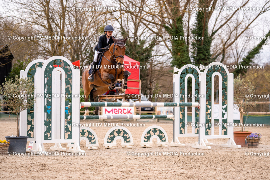 Kranichstein Tag 2-194 | dv-media-shop - Realisiert mit Pictrs.com