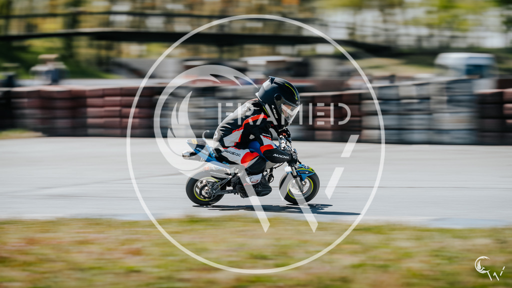 LS2-3 | cw-framed