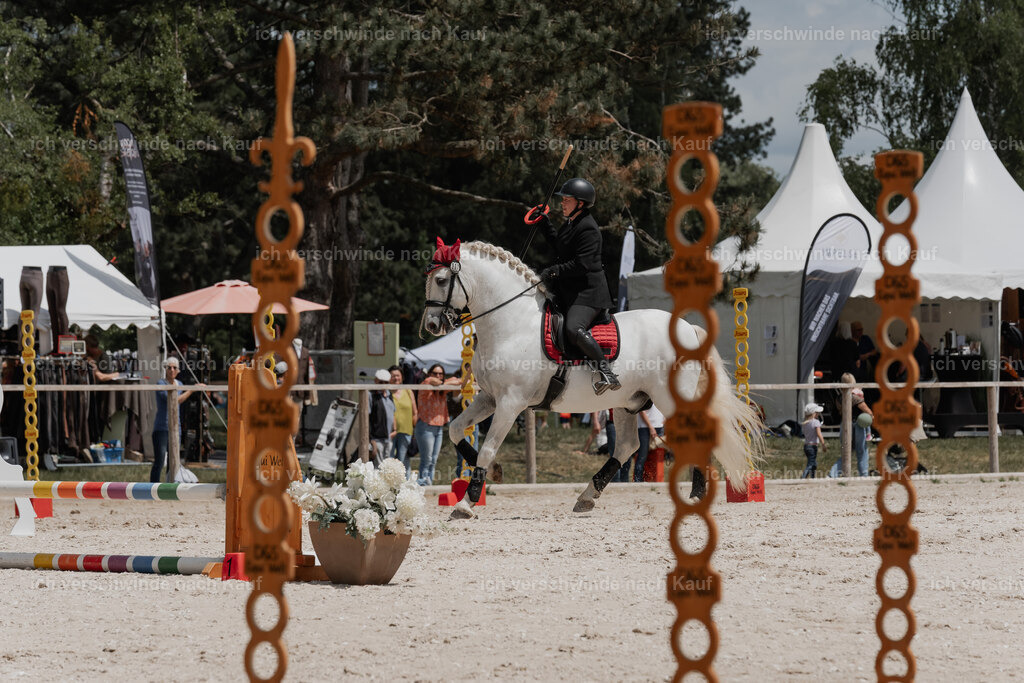 WE_ST_Stoib_307_PI2025_1171 | Pferd International München 2025