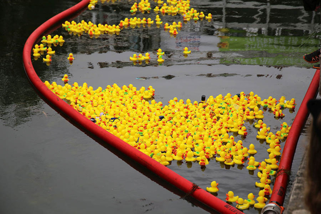 Leipziger Wasserfest - Entenrennen am Lindenauer Hafen | Entdecke über 20 Kategorien Leipzig-Motive: Foto-Downloads, hochwertige Poster, Leinwand- & Fine-Art-Prints. Jetzt Lieblingsfoto im Bildlexikon Leipzig Shop bestellen!