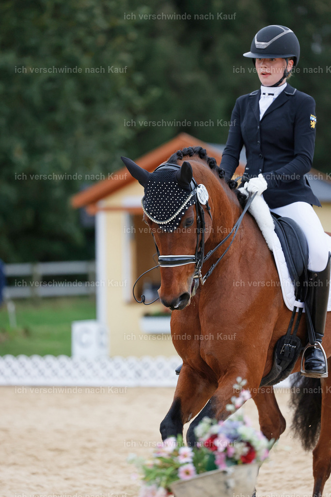 04_2-006-Dressur M__ -StoibPH-2984 | working equitationturnier fotograf videograf stoibphotography marixx film working equitation deutschland reitsport turnierfotografie eventfotografie equestrian events