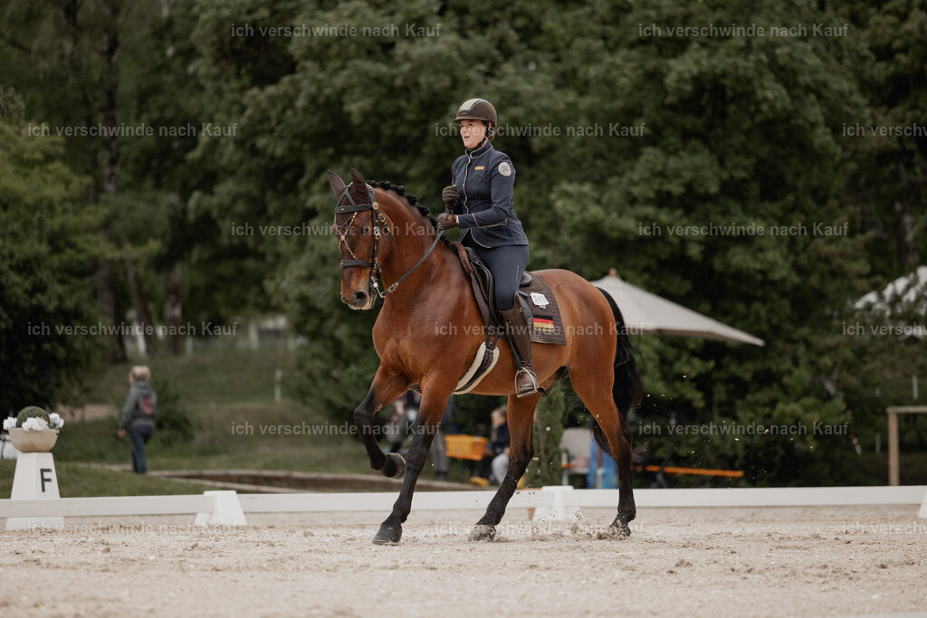 WE_DR_Stoib_340_ _PI2025_135 | Pferd International München 2025