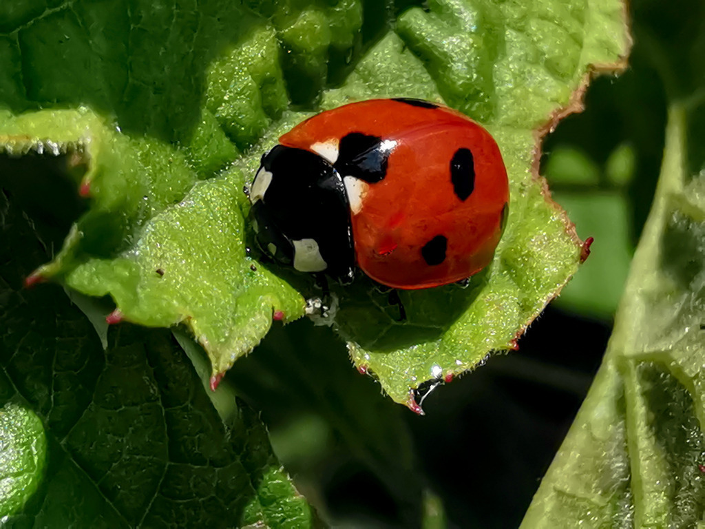 PSX_20230910_000926 | mtkfoto_ - Realisiert mit Pictrs.com