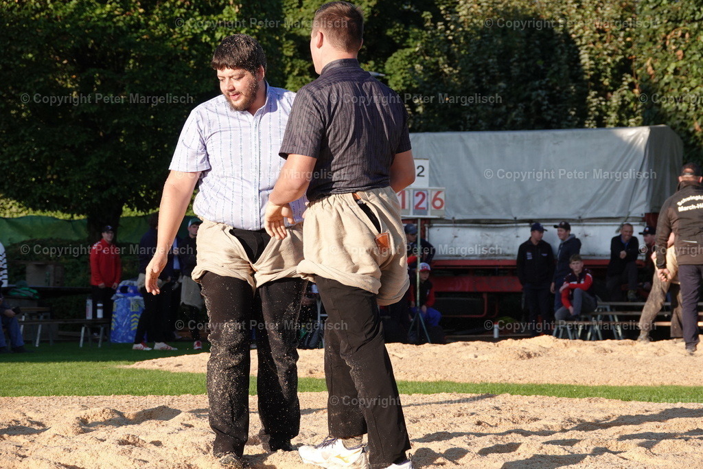 DSC01909 | Schwingen - Realisiert mit Pictrs.com