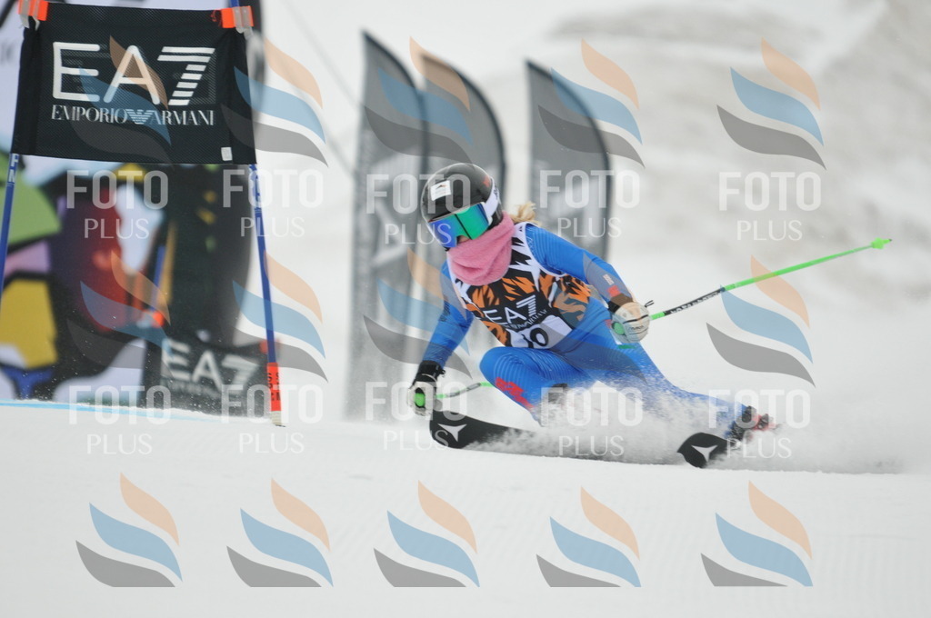 DSC_7376 | holidayphoto