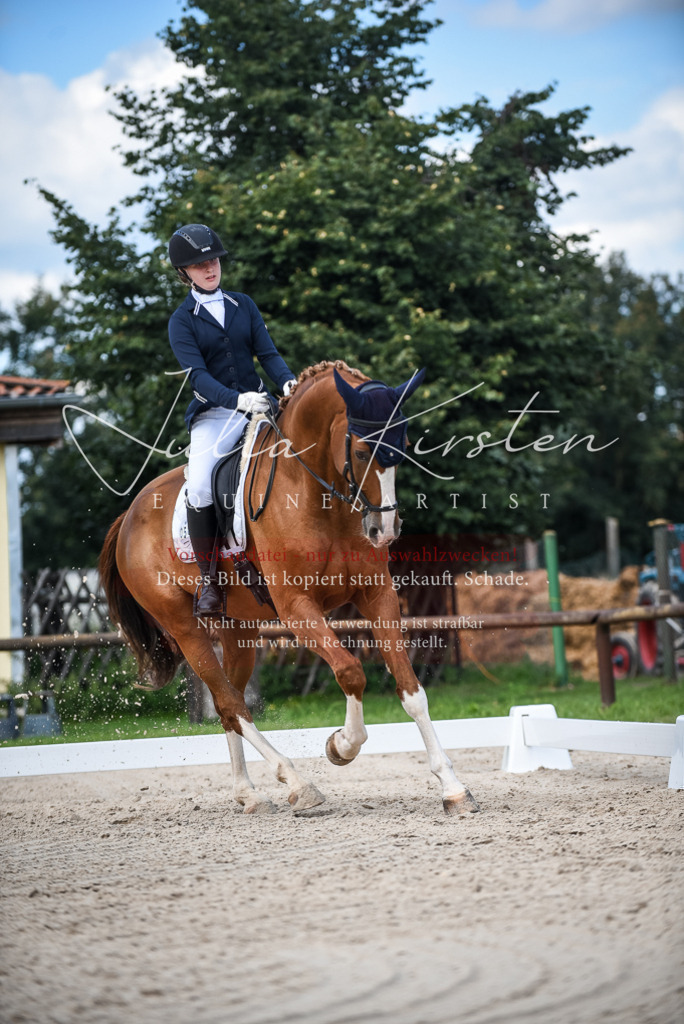 DSC_9382 | Pferde- und Turnierfotografie in Westsachsen. Pferdeportraits, Auftragszeichnungen und intuitive Kunst.