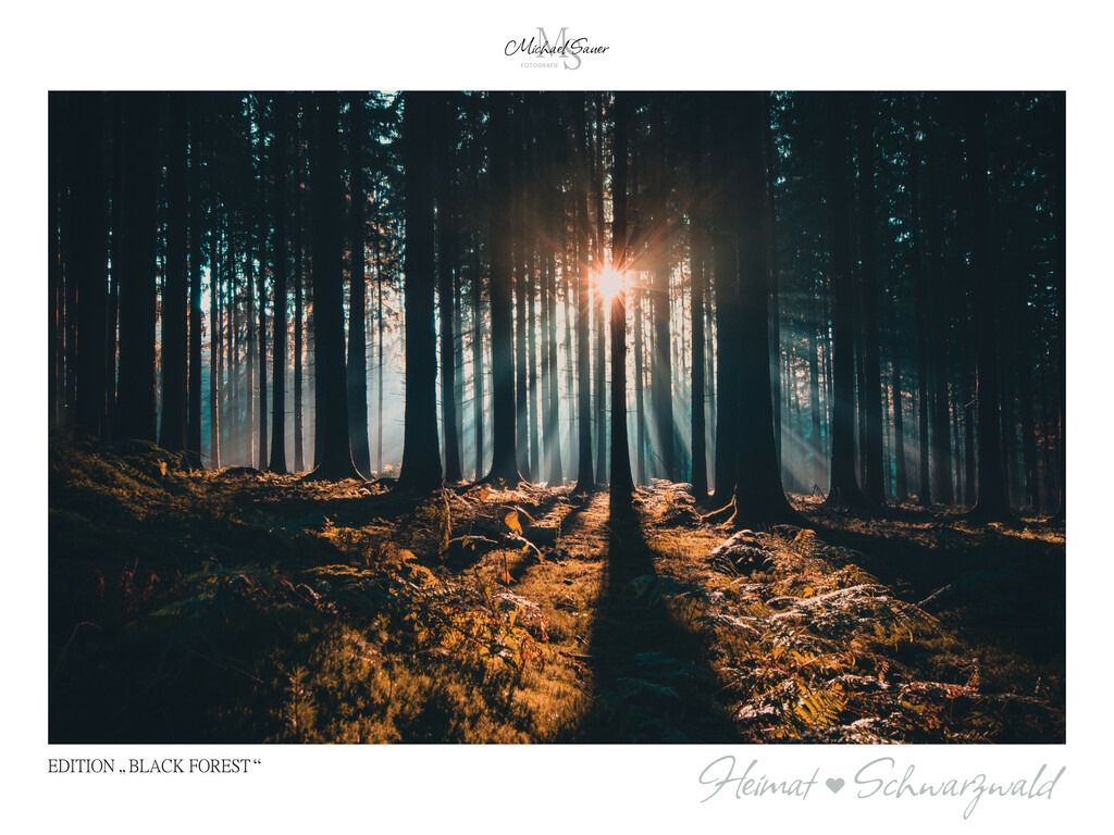 Edition "BLACK FOREST" | Motiv: Letzte Sonnenstraheln des Tages, mittlerer Schwarzwald. Die beliebtesten Fotografien aus dem Schwarzwald als signierte Sonderedition. Eine exklusive Wanddekoration für alle Liebhaber von traumhaften Schwarzwaldlandschaften. Hochwertige Wandbilder in brillanter Druckqualität auf Acrylglas, Alu-Dibond und Leinwand für Ihr Zuhause – inklusive rückseitige Aufhängung.
 - Realisiert mit Pictrs.com