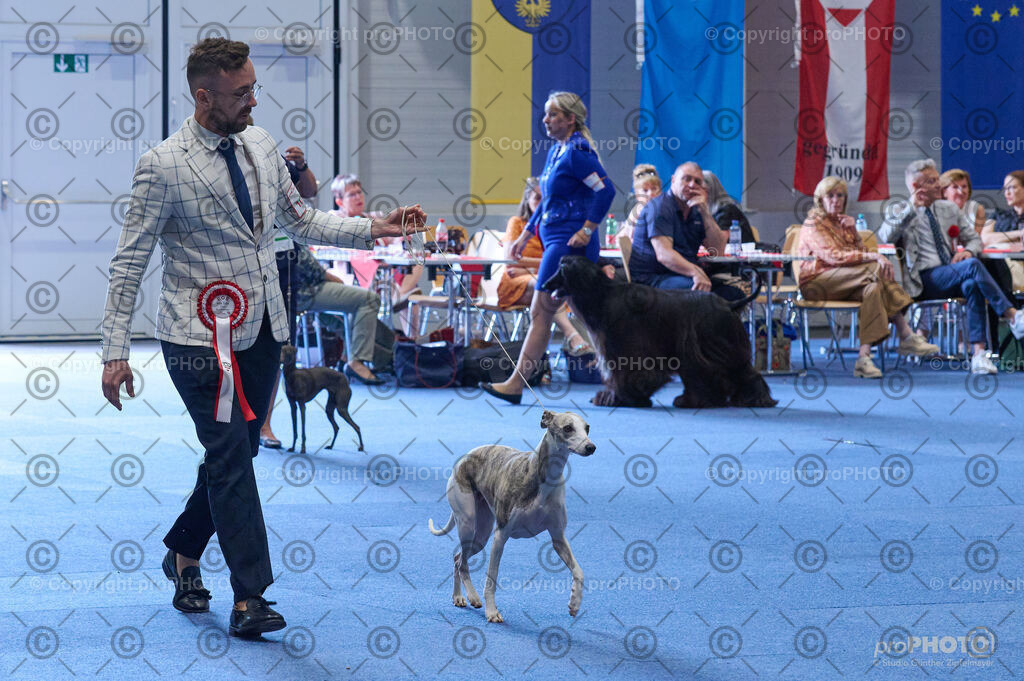 202406_ÖKV-IHA-Tulln24_DSC_5232 | proPHOTO - Realisiert mit Pictrs.com