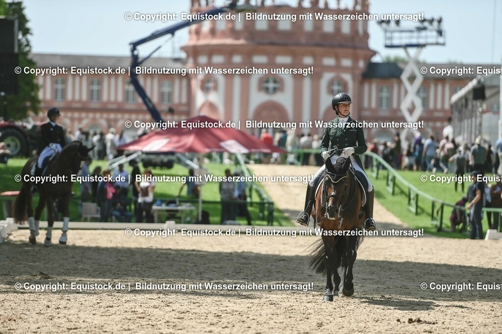 D78_2926 | equistock