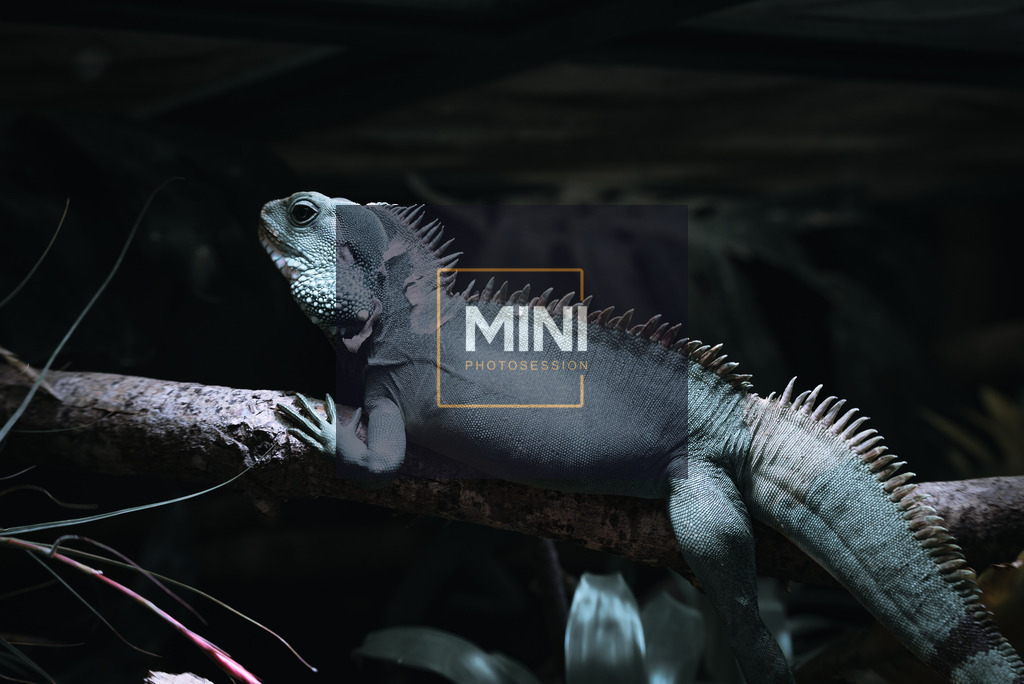 20230312-DSC_3768Original | Michael Nibel Fotografie - Realisiert mit Pictrs.com