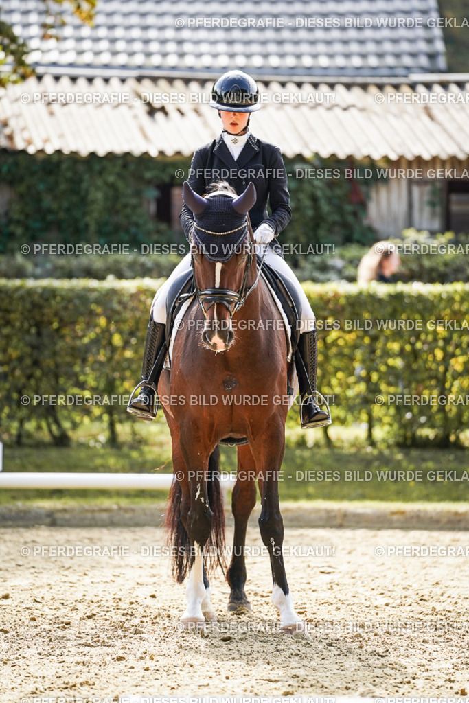 DSC08891 | Pferdegrafie