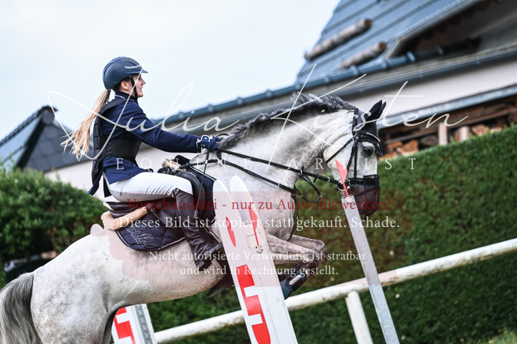 DSC_8157 | Pferde- und Turnierfotografie in Westsachsen. Pferdeportraits, Auftragszeichnungen und intuitive Kunst.