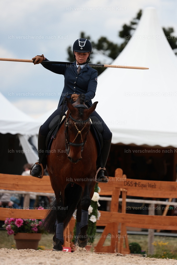 PI26_ST_StoibphotographyC2_L8875.JPG | working equitationturnier fotograf videograf stoibphotography marixx film working equitation deutschland reitsport turnierfotografie eventfotografie equestrian events