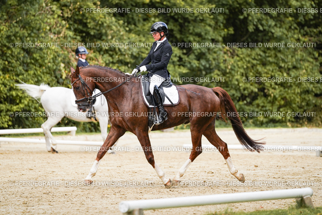 DSC02679 | Pferdegrafie