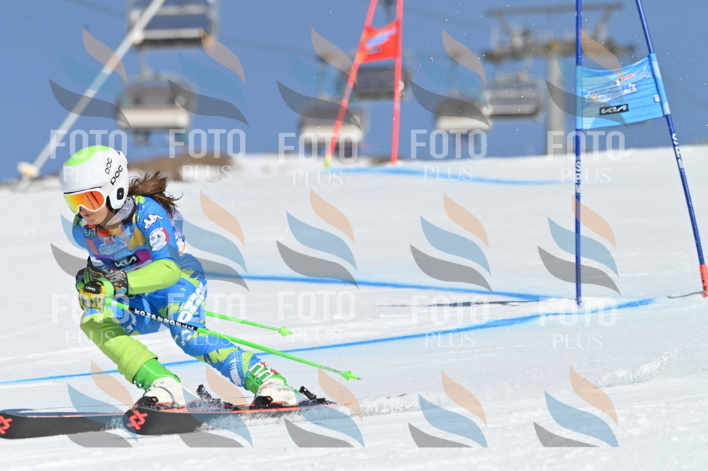 BGV_7921 | holidayphoto