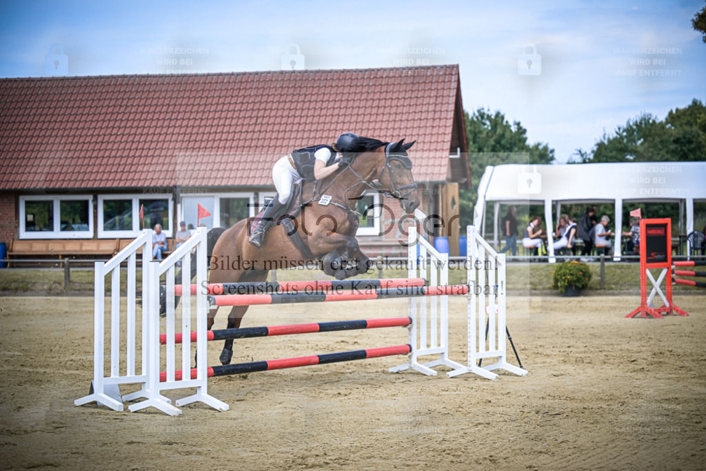 DOS_9603 | Entdecke hochwertige Reitturnierfotos von Foto Oger. Professionell, emotional und authentisch – jetzt Lieblingsmomente im Shop bestellen. - Realisiert mit Pictrs.com