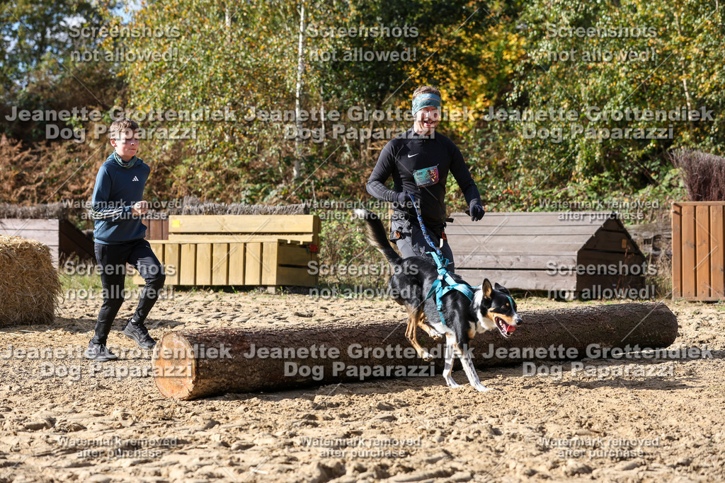 Dog Paparazzi - Strongdog 10-25-5454 | Dog Paparazzi Jeanette Grottendiek Fotografie & Videografie - Realisiert mit Pictrs.com