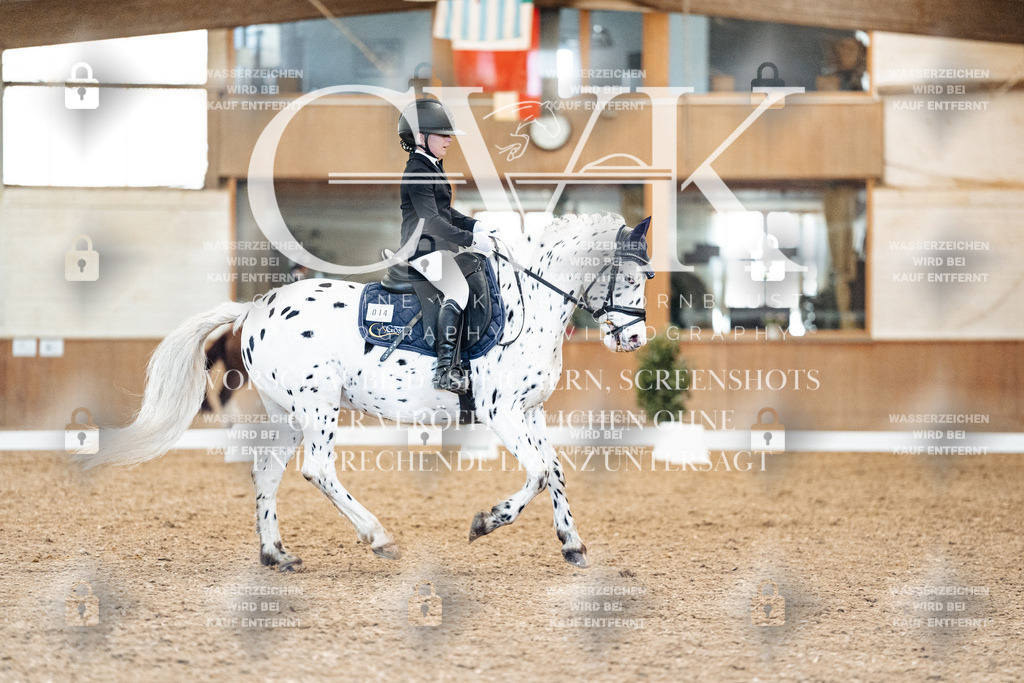 CK908958 | Turnierfotografie Pferdefotografie Trier Rheinland-Pfalz Pferdesport Reitsport Tierfotografie Sportfotografie Pferdevideo Pferdevideografie Equestrianvideography equestrianphotography  - Realized with Pictrs.com