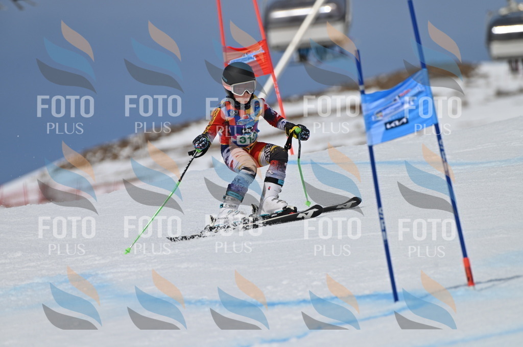 BGV_6279 | holidayphoto