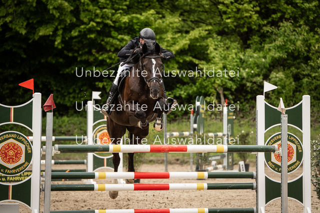 Bad_Meinberg_00962 | saradresslerfotografie - Realisiert mit Pictrs.com