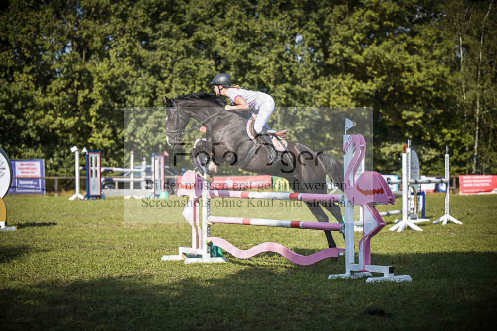 DOS_1220 | Entdecke hochwertige Reitturnierfotos von Foto Oger. Professionell, emotional und authentisch – jetzt Lieblingsmomente im Shop bestellen.Deutschlandweite Turnierfotografie. - Realisiert mit Pictrs.com