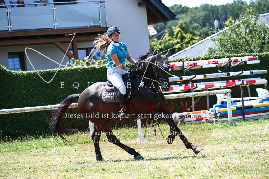 DSC_0071 | Pferde- und Turnierfotografie in Westsachsen. Pferdeportraits, Auftragszeichnungen und intuitive Kunst.