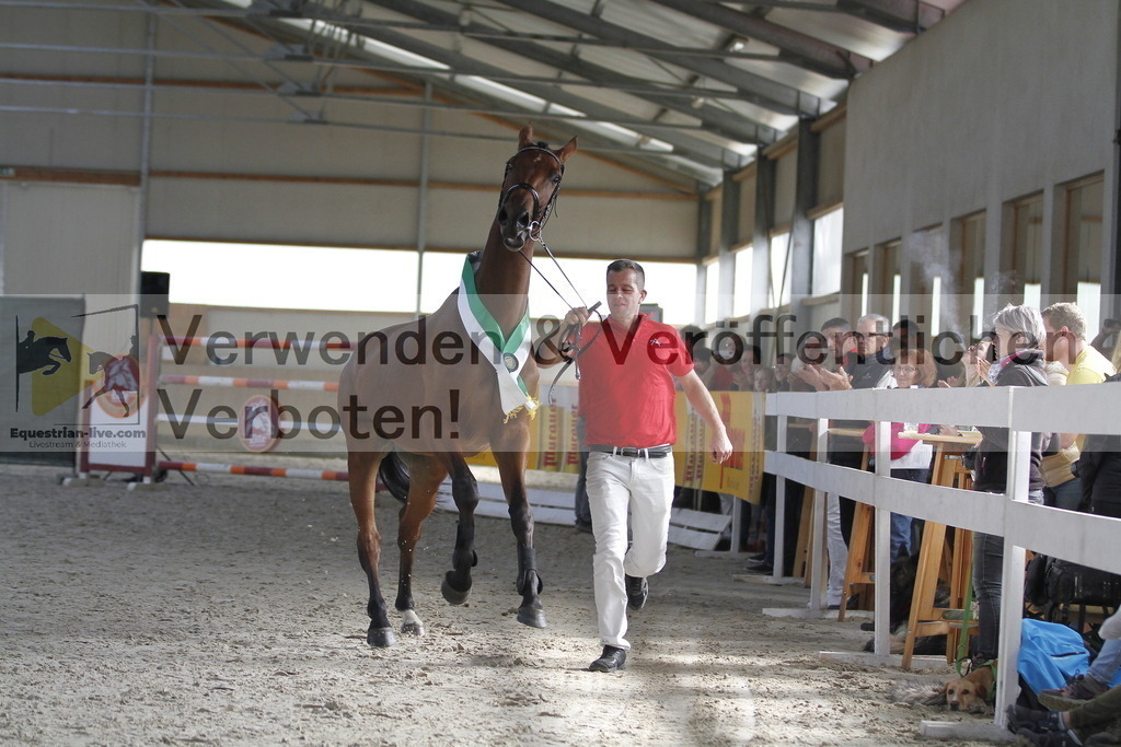 _MG_0758 | equestrian-live-com