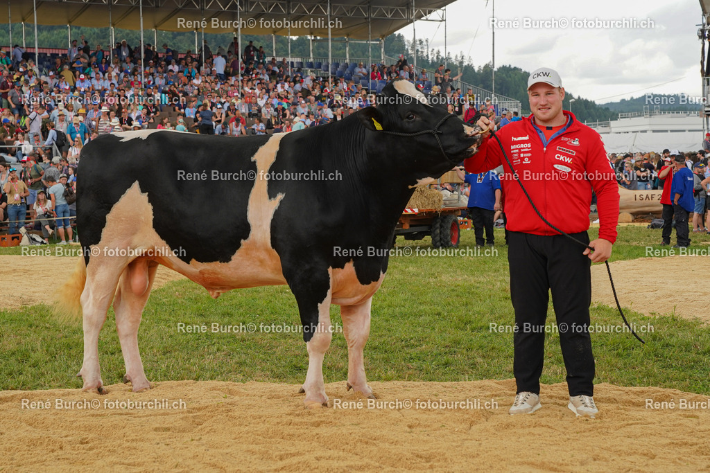 DSC00575 | René Burch leidenschaftlicher Fotograf aus Kerns in Obwalden.  Hier finden sie Sport, Landschaft und Natur Fotografie.
 - Realisiert mit Pictrs.com