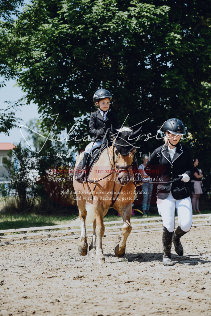 DSC_2529 | Pferde- und Turnierfotografie in Westsachsen. Pferdeportraits, Auftragszeichnungen und intuitive Kunst.