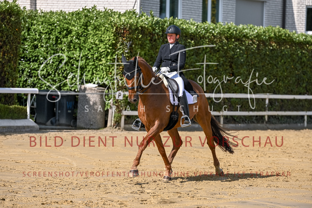 Schugtsche-Aluta25-58. Dressurprf.S1Kand.St.GeorgSpecial-309 | Schugtsche Fotografie - Realisiert mit Pictrs.com