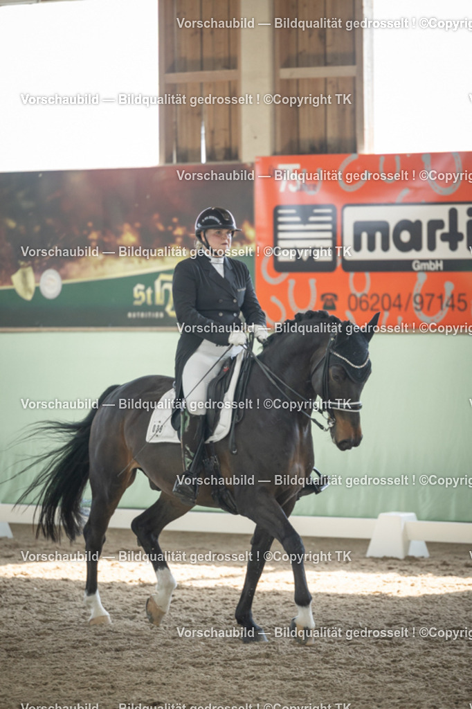 _D5A1894 | Emotionale Pferde- & People-Fotografie rund um Heidelberg, Leimen & Umgebung. Natürliche Fotos von Pferd, Mensch & Familie. Jetzt Termin sichern!