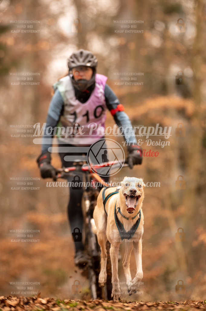 AKM_ST_2023_SAM_Bike-118 | PayLife