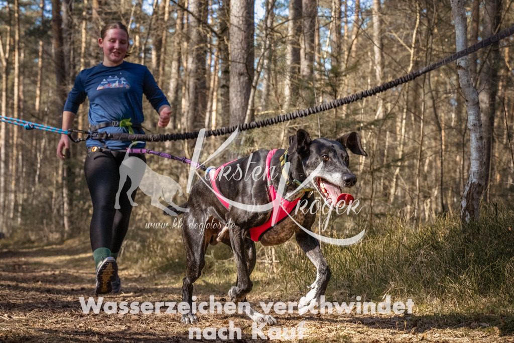1246_ZZ94231-Bearbeitet | kk-dogfotos