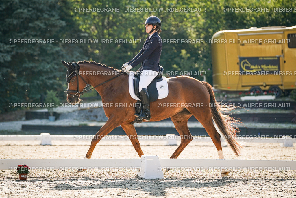 DSC08633 | Pferdegrafie