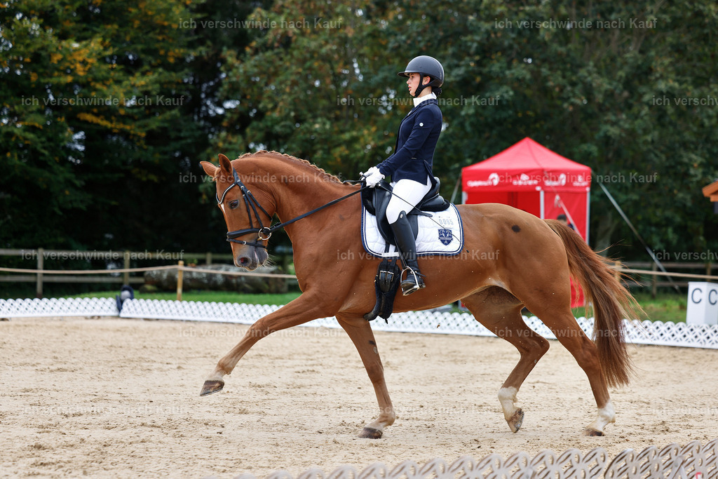 02-095-DRESSUR L_  -StoibPH-4702 | working equitationturnier fotograf videograf stoibphotography marixx film working equitation deutschland reitsport turnierfotografie eventfotografie equestrian events