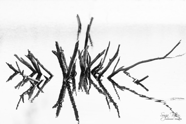 A7304055 | Outdoorpixl Teßen OHG - Realisiert mit Pictrs.com