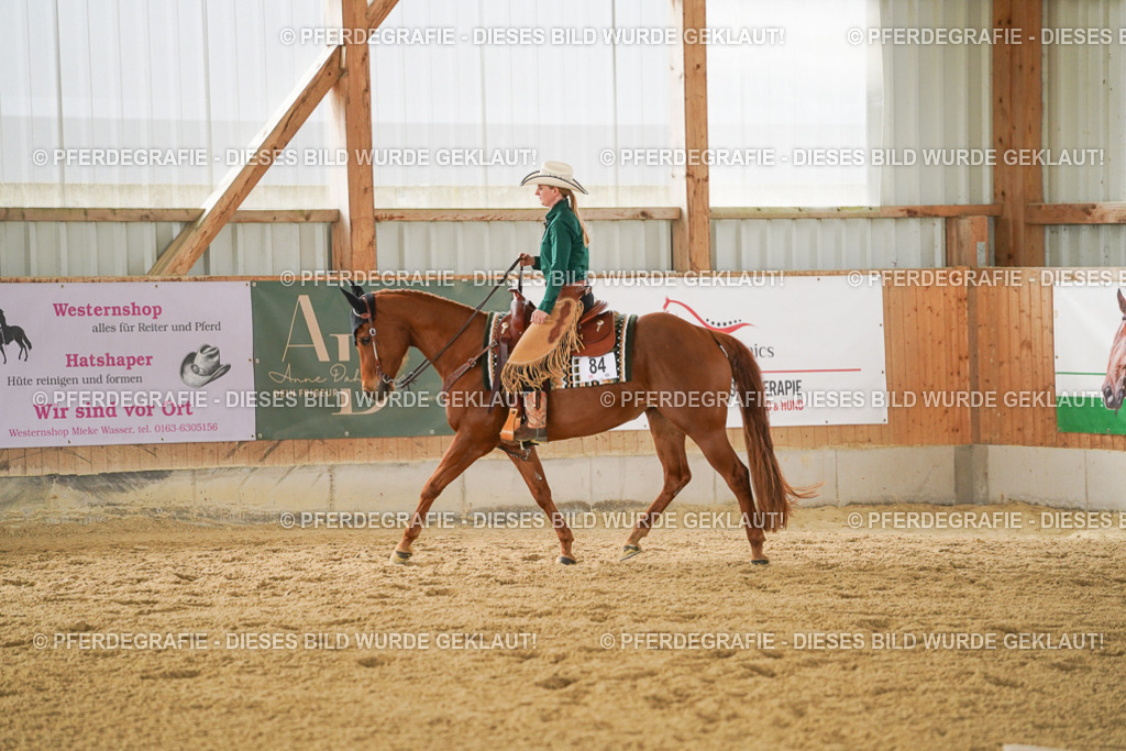 DSC04582 | Pferdegrafie