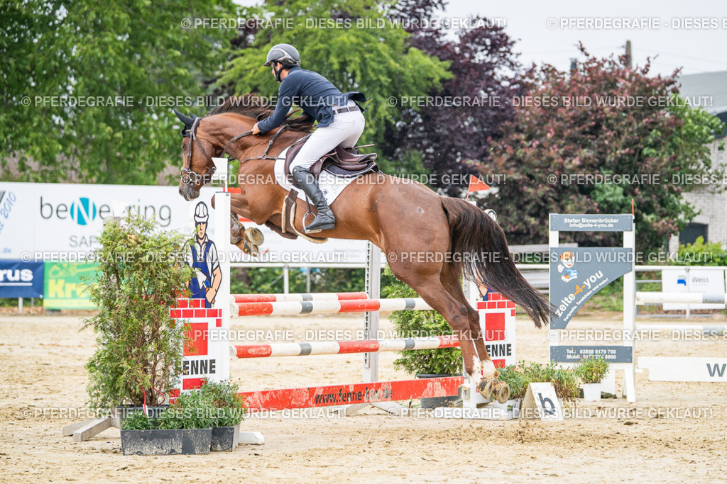 DSC00735 | Pferdegrafie