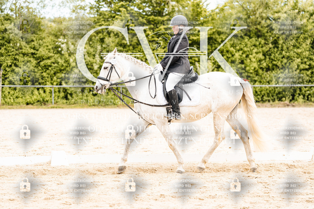 CK904789 | Turnierfotografie Pferdefotografie Trier Rheinland-Pfalz Pferdesport Reitsport Tierfotografie Sportfotografie Pferdevideo Pferdevideografie Equestrianvideography equestrianphotography  - Realisiert mit Pictrs.com