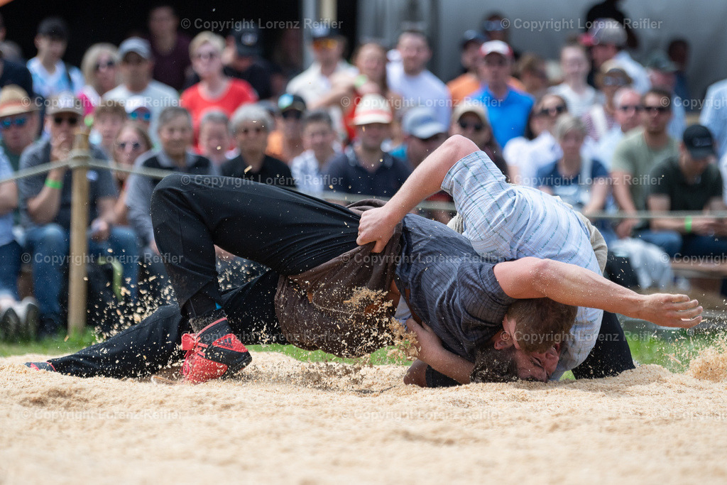 Schwingen -  St.Galler Kantonal 2024 | Grabs, 26.5.24, Schwingen - St.Galler Kantonal.