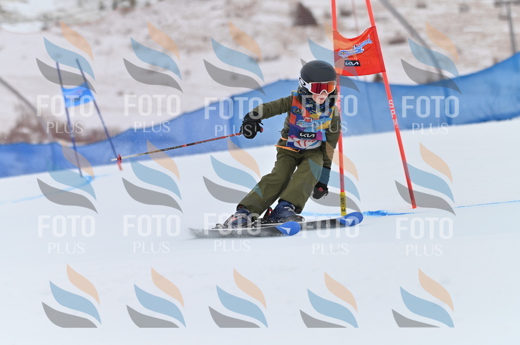 BGV_0797 | holidayphoto