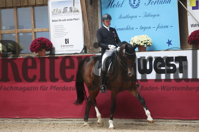 Reutlingen_2024_Prfg.Nr.06_Nachwuchspferde-Tour_Hans Staub_Ravel 362 (6) | Alle Fotos der Reiterjournal Fotografin Doris Matthaes im Reiterjournal Online-Fotoshop. - Realisiert mit Pictrs.com