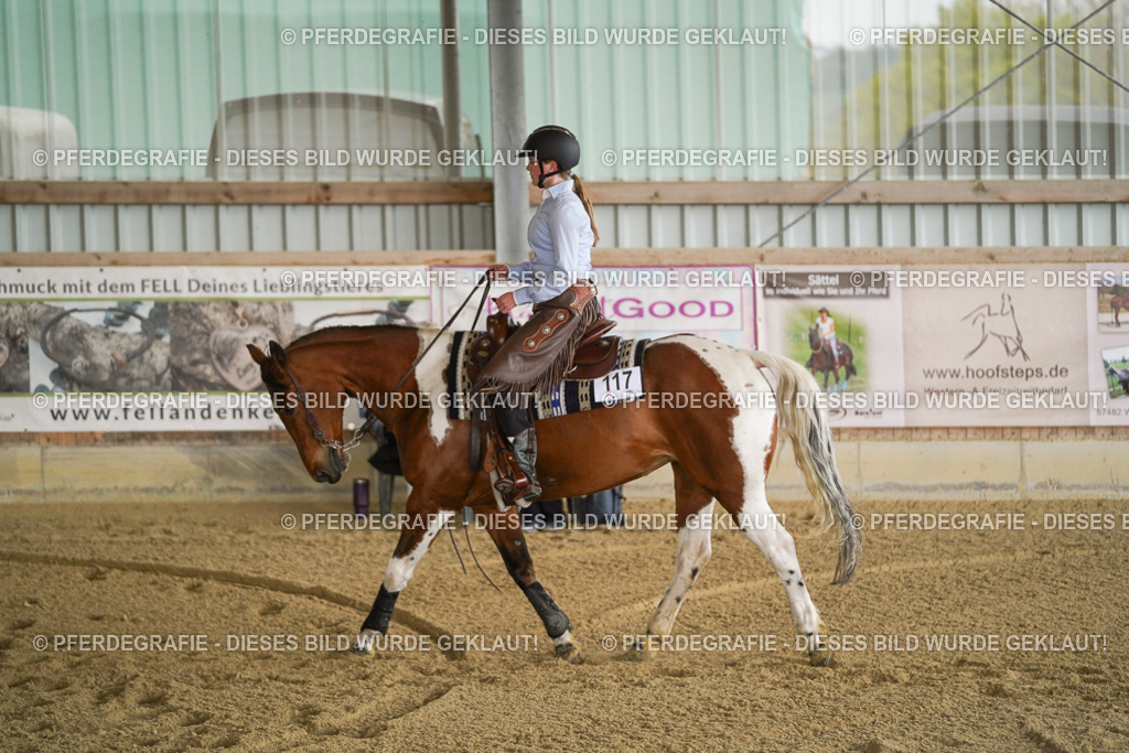 DSC06368 | Pferdegrafie