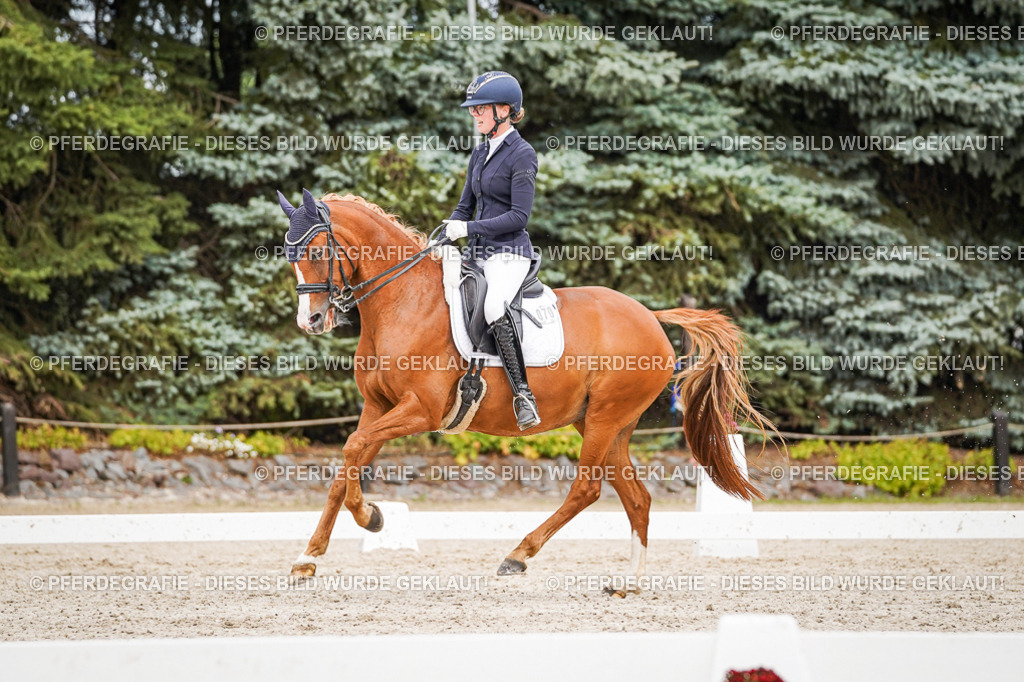 DSC07052 | Pferdegrafie